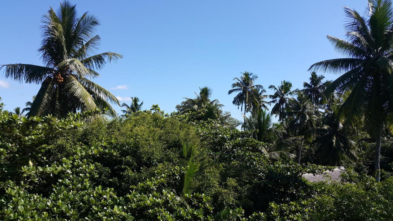 Green Almond Hotel Unawatuna Extérieur photo